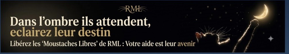 Dans l'ombre ils attendent, éclairez leur destin