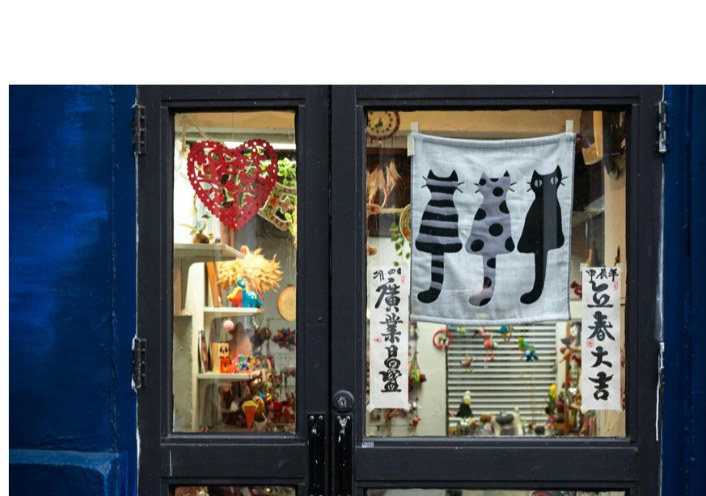 Boutique solidaire consacrée aux chats